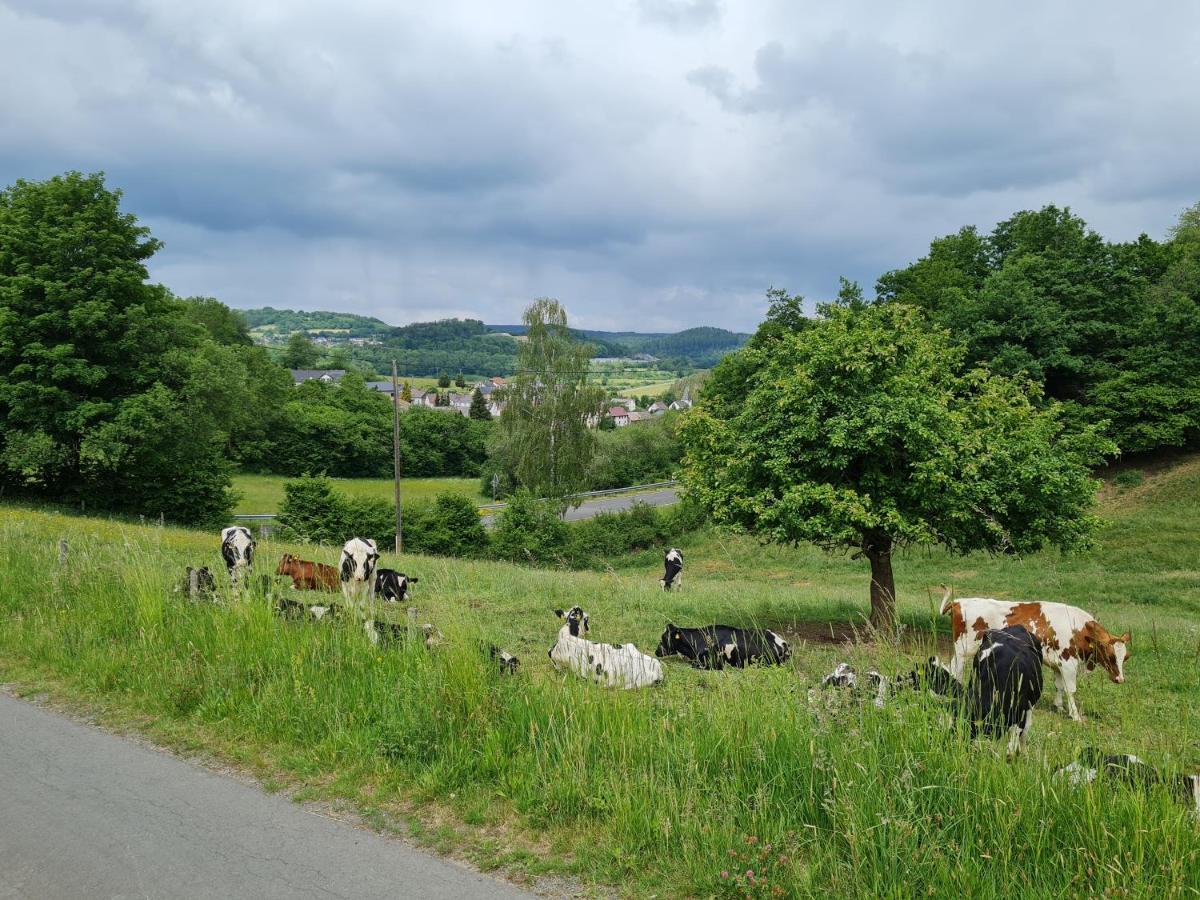 Appartamento Gasthaus Paula Üdersdorf Esterno foto